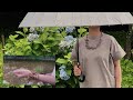 crochet 蔦の葉のアクセサリー編みました　かぎ針編み