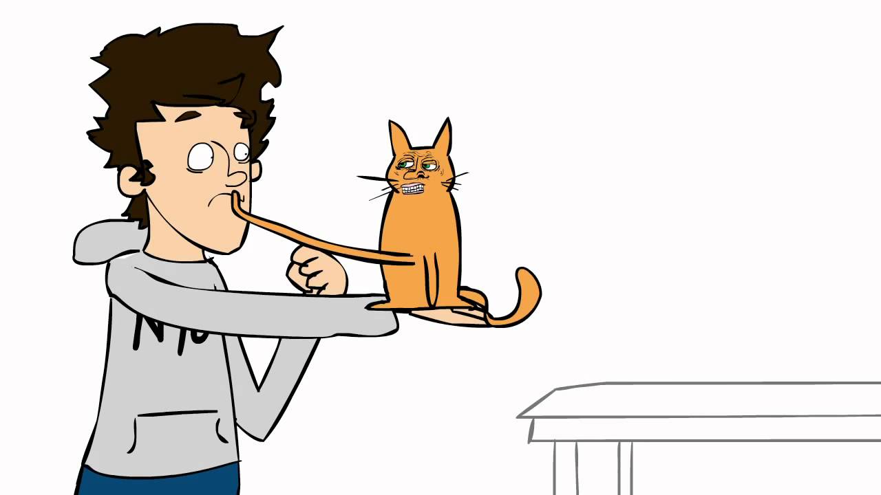 The Cat (the Lazer Collection ) Youtube - The Cat (the Lazer Collection ) the cat (the lazer collection ) youtube - the cat (the lazer collection )