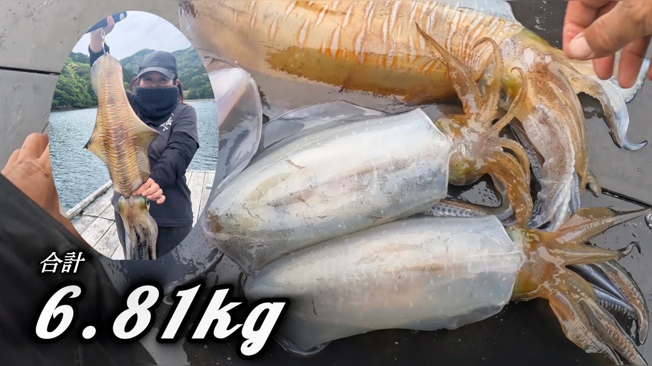 アオリイカを簡単に釣る方法はコレですか？