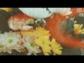 佐藤玖美「長い夢」(Official Music Video)