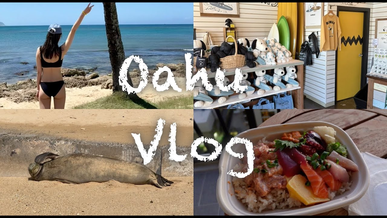 欧胡岛vlog｜又又又来夏威夷了🌺｜Sandbar海龟🐢探秘｜Waimea Valley徒步🧗｜超级棒浮潜体验🐟｜逛吃逛吃模式开启🛍️🍙
