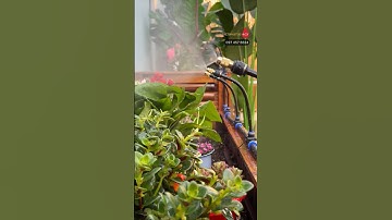 Trọn bộ 10 béc đồng uốn cong 360 độ tưới cây GIÁ RẺ lắp đường nước ko máy bơm#becphunsuong