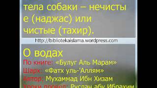 38 Остальные части тела собаки -- нечистые наджас или чистые тахир 38 Остальные части тела собаки -- нечистые наджас или чистые тахир