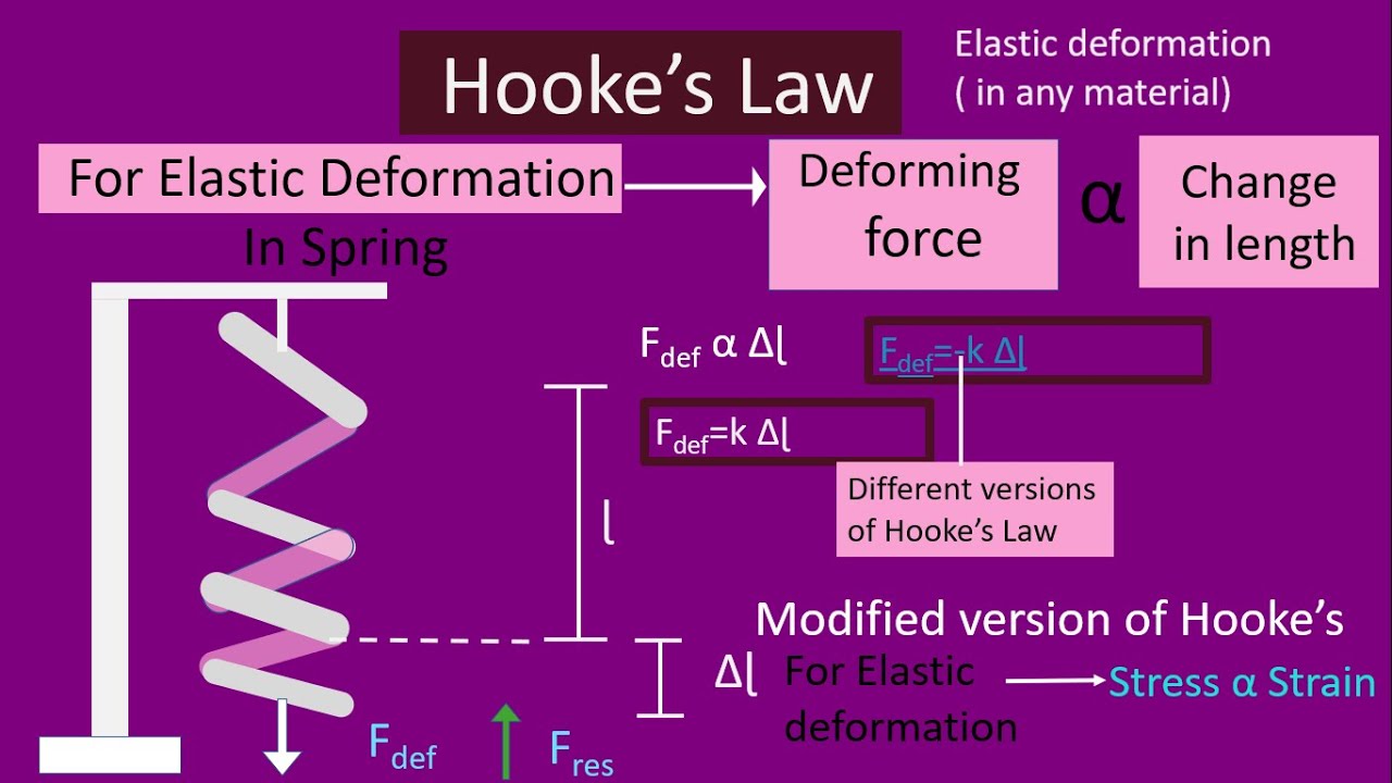 Hooke's Law for the Elastic Deformation And Simple Harmonic Motion ...
