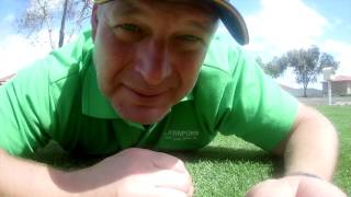 Exclusive Lawnporn's Black Beetle Magic Minute Tip Details