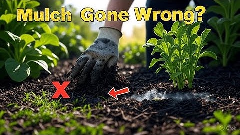 5 Mulch Mistakes That Are DESTROYING Your Garden And How to Fix Them Fast!