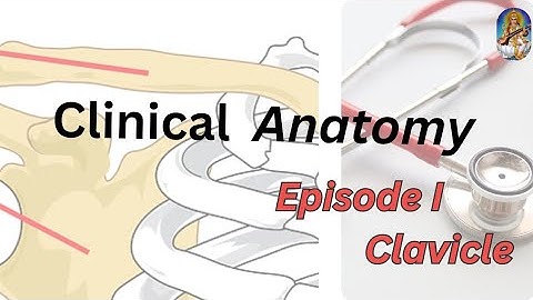 Clavicle fracture #clinicalanatomy #Mbbs 