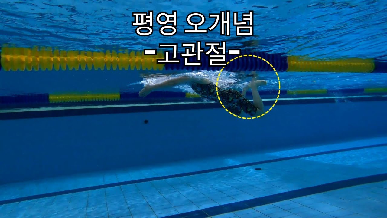 평영에서 잘못알고 있는 상식 -고관절편-