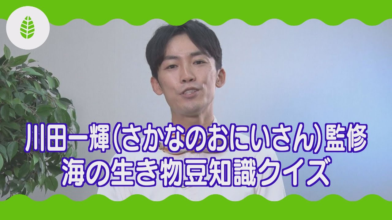 海の教室 川田一輝 さなかのおにいさん 監修 海の生き物豆知識クイズ Youtube
