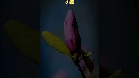 【衝撃映像】知らないとヤバい！AI・ChatGPTの衝撃的活用3選 #雑学 #shorts #テクノロジー