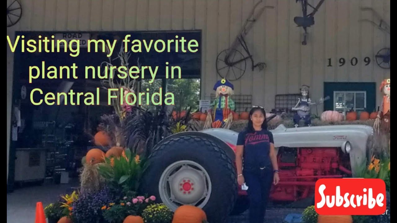 Visiting my favorite plant nursery in Central Florida