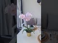 Terrassen Table Decor – Einfache &amp; elegante Tischdeko für draußen 🌿