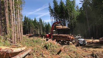 Kenworth Logging truck getting loaded in time lapse