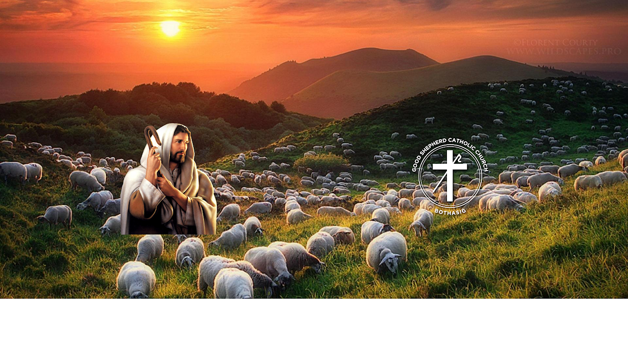 The Good Shepherd Stream The Good Shepherd Stream