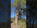 SOÑADO 🤩 A SOLO 7 KM DEL LAGO CALAFQUÉN. Hermosas vistas al volcán Villarrica.