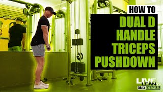 How To: Standing Dual D Handle Cable Triceps Pushdown