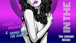 Purple Disco Machine, Sophie and the Giants - In The Dark (Tim Grand Remix)