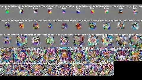 Visualizations of the I3D network features: shared image parametrization