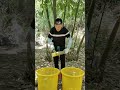 Only when you slow down do you understand the simple joy of life in the fresh bamboo shoot