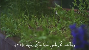 سورة ق آية ( ١٩-٢٢ ) القارئ ياسر الدوسري ..