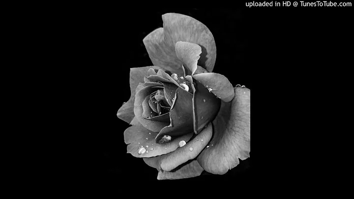 nf - lost in the moment (slowed)