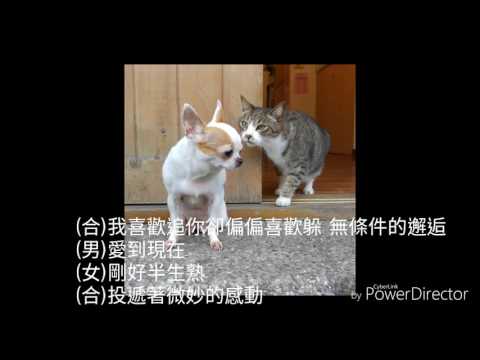 品冠＆戴佩妮 - 半生熟