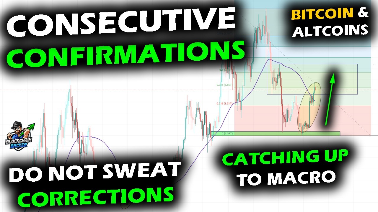 CONFIRMS AGAIN the Bottom Is In, Bitcoin Price Chart 2n… — Transcript