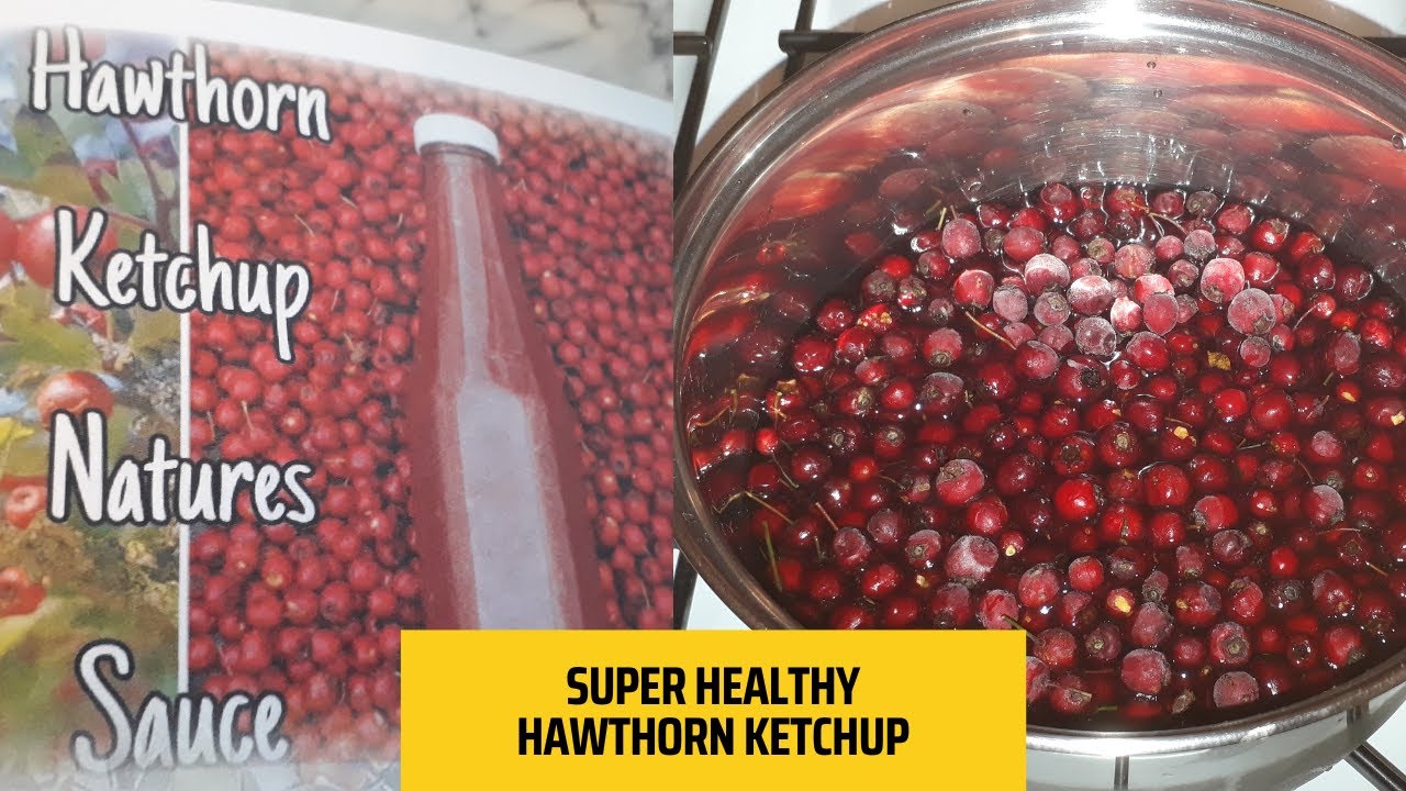 How To Make Hawthorn Ketchup - Easy Steps To Follow