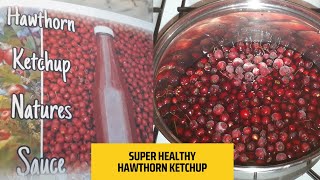 How To Make Hawthorn Ketchup - Easy Steps To Follow by Wild Food and Happy Soul 48 views 6 months ago 5 minutes, 6 seconds