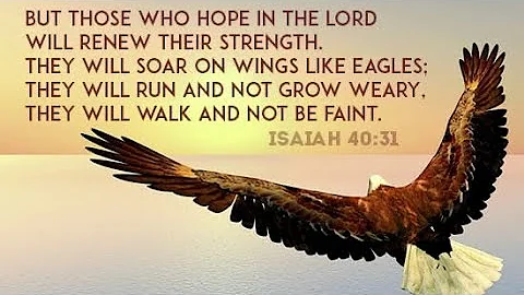 Soar Like Eagles! Isaiah 40:31 Explained!