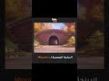 اونكل دان معاه حكاية فيلم الهجرة Migration افلام كرتون انميشن انيميشن انيميشن عربي افلام كرت اونكل دان معاه حكاية فيلم الهجرة Migration افلام كرتون انميشن انيميشن انيميشن عربي افلام كرت