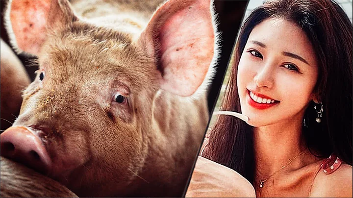 New SCAM out of China - The Pig Butchering Scam! - DayDayNews