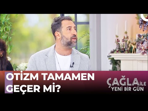 Video: Verimi artırmak için bitkileri külle beslemek