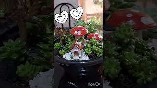 Arranjo de Suculentas com Miniaturas em Resina @loja.marabagarden #suculentas #holambra #arranjo by Marabá Garden Suculentas e Cactos 37 views 2 weeks ago 1 minute, 24 seconds