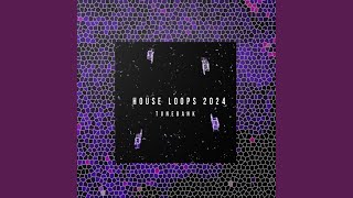 House Loop 02