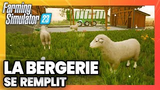 FARMING SIMULATOR 23 : les MOUTONS sont en place / GAMEPLAY FR