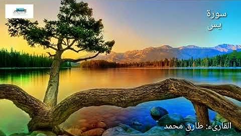 تلاوة روعة للقارىء طارق محمد..سورة يس