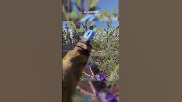 Stealing Raid Loot for Revenge as a Solo (rust short)