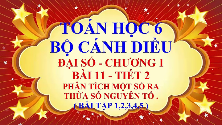 Giải sách toán 6 tập 2 trang 41 bài 11 năm 2024