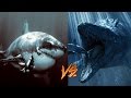Megalodon Vs Mosasaur My Thoughts