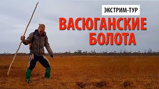 Васюганские топи. Самое большое болото  в мире