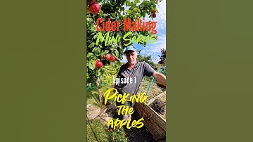 Making Cider Mini Series: picking the apples #selfsufficiency #cidermaking #cider #kitchengarden