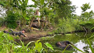 A girl catching snails in a pond gets stuck in a fish net