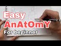 Easy anatomy my style for beginner 