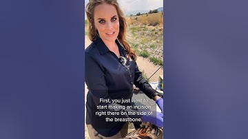 How to field dress a pheasant