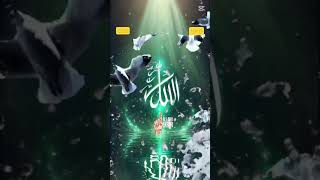 Allâha Tevekkül Edene Allâh Kâfîdir