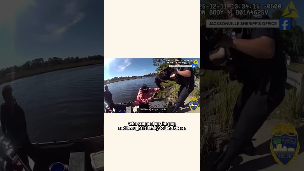 French Bulldog Stranged in Florida River Rescued by Fishermen