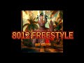8012 FREESTYLE 