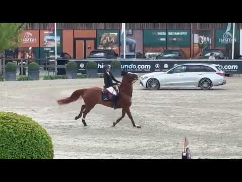 Quickly D vh Ijzerenlindehof 155 CSI4* Opglabbeek 8th place