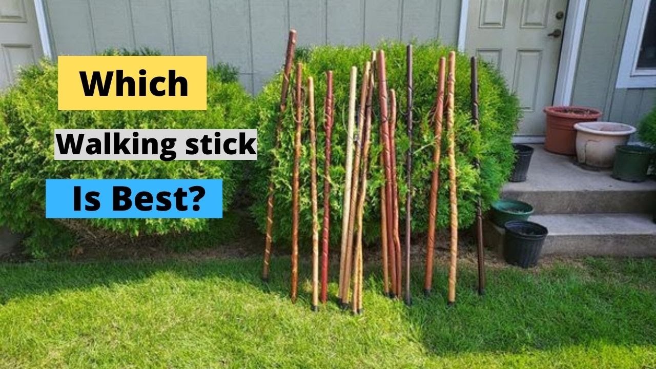 Which Walking stick is Best
